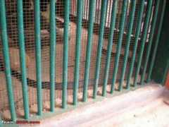 team-bhp.com Pramodkumar