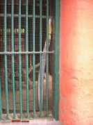 team-bhp.com Pramodkumar