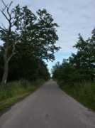 geo.hlipp.de Pramort