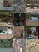 virtualglobetrotting.com Pranath