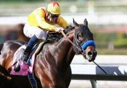 horseracingnation.com Pravata