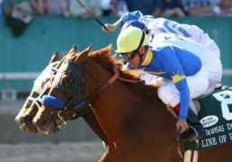 horseracingnation.com Pravata