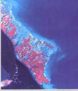Prec