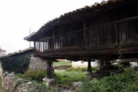 asturnatura.com Premono