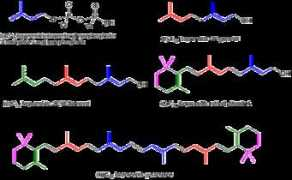 lipidmaps.org Prenol