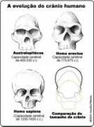 ciencia.hsw.uol.com.br Presuma