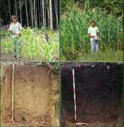 biochar-international.org Preta