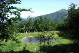 panoramio.com Pretina