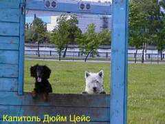 mini-taksa.ru Prigan
