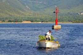 panoramio.com Prijatelji