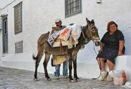 slike.n3po.com Prijevoz