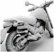 moto65.de Prilli