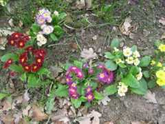garten.cz Primul