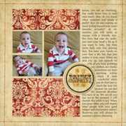 theshabbyshoppe.com Princecharming