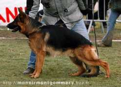 manoirmontgommery.free.fr Prissia