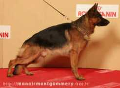 manoirmontgommery.free.fr Prissia