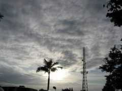 article.wn.com Prithvijit