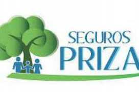 entornointeligente.com Priza