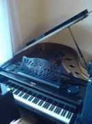 muzika.euinzerce.cz Prodam