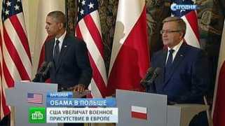 ntv.ru Prokin