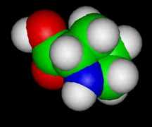 worldofmolecules.com Proline