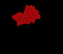 prezydent2010.pkw.gov.pl Promna