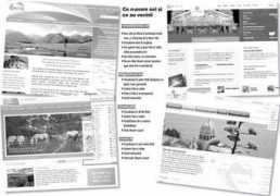 zf.ro Promovare