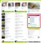 robintel.ro Promovare