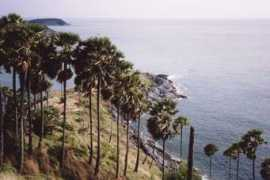 panoramio.com Promthep