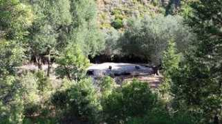 panoramio.com Proni
