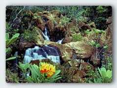 cruising-newcaledonia.com Prony