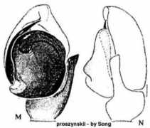 Prosz