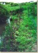 thewatershed.org Protection