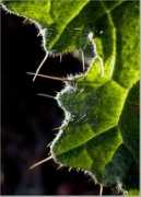 cs-music.com Protection