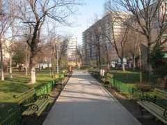 panoramio.com Protopopescu