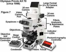 micro.magnet.fsu.edu:80 Provisa