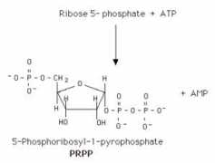Prpp