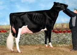 holsteinworld.com Prudi