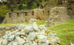 Prumi