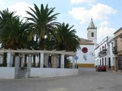 theolivepress.es Pruna