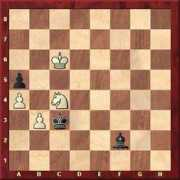live.schach.lga.de Prusikin