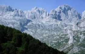domusnatura.com Psanta
