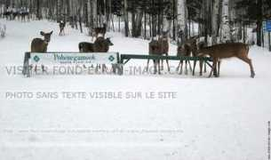 fond-ecran-image.com Pspa