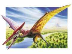 edzone.net Pterodactyl