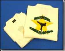 premiertaekwondo.com Ptkd