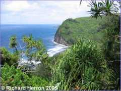 richardherron.com Puali