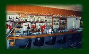 dunnellonbusiness.com Pubins