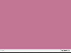 colourlovers.com Pucat