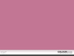 colourlovers.com Pucat