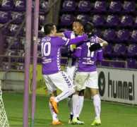 diariodeavisos.com Pucelana